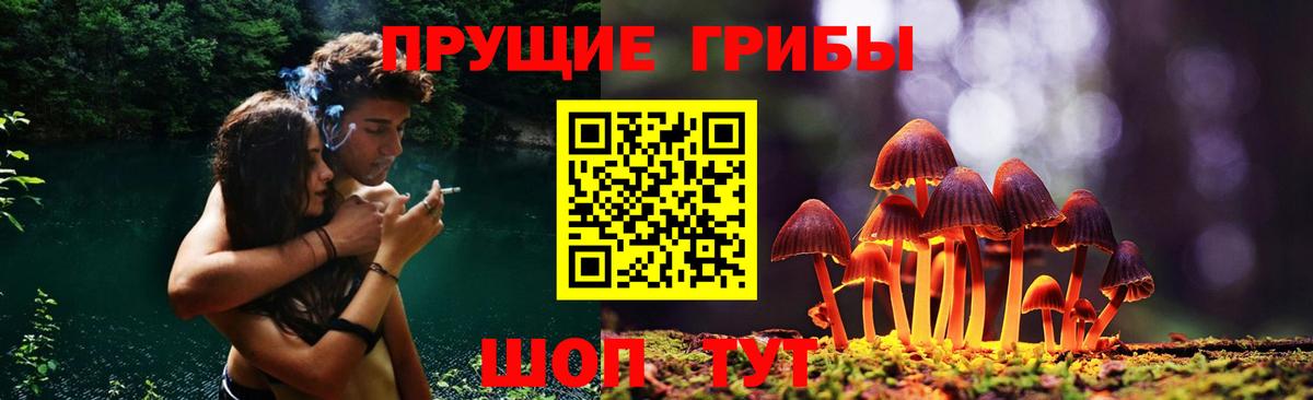 Псилоцибиновые грибы MAGIC MUSHROOMS Ростов Великий